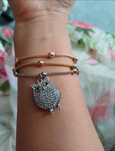 Charming Owl Charm Bracelet Set