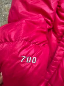 The North Face 700 Puffer Jacket