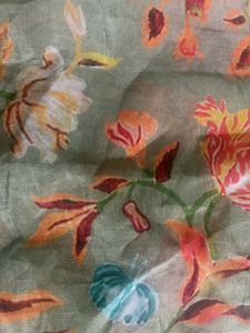 Beautiful Organza Dupatta