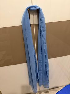 Beautiful Blue Embellished Gown with dupatta