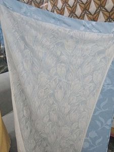 Elegant Blue  curtain