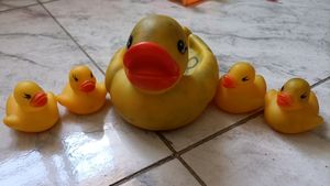 Kids Toy Ducks
