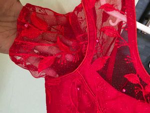 Red Embroidered Net Blouse