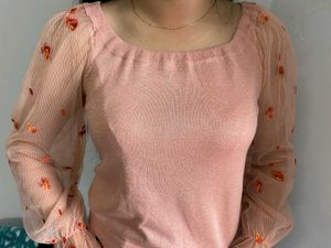 Sheer Embroidered Mesh Blouse