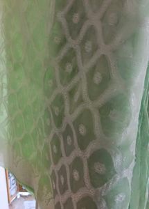 Mint Green Diamond Pattern Sari✨