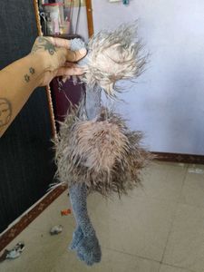 jellycat Ostrich big size