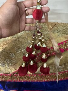 Embroidered Lehenga Skirt