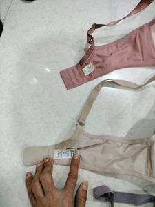 Bra Inner