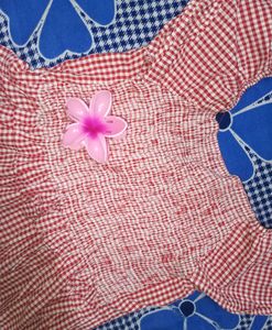 Red Gingham Puff Sleeve Top