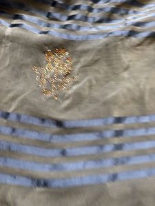 Embellished saree