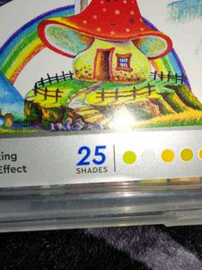 Oil Pastels (Crayon) 🖍️set Of 25 Shades