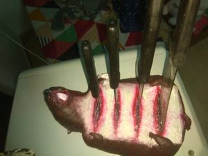 Knife Holder 🔪