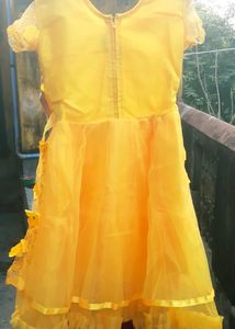 Yellow Fork