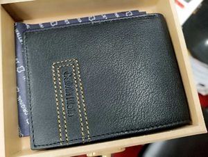 Louis Vuitton wallet