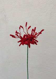 Fuzzy Wire Flowers