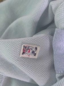 🚫 Price Drop Tommy Hilfiger Light Blue Polo Shirt