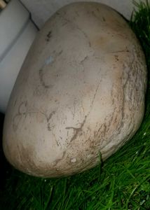 Unique Natural River Stone