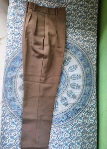 Stylish Pleated Taupe Pants