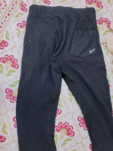 Night Pant