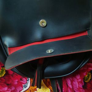 Black Cute &amp; Stylish Backpack
