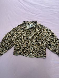Zara Leopard Print Crop Top - S