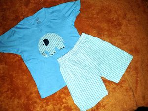 Cute Elephant Pajama Set