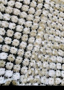 Today's Offer ❤️...                                          Unique Cute Flower 🌼 Top
