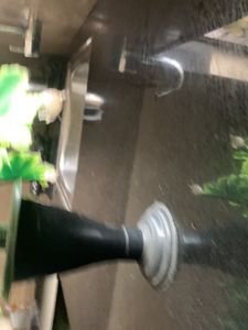 Flower Show