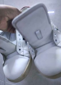 Gucci Ace Bee Sneakers