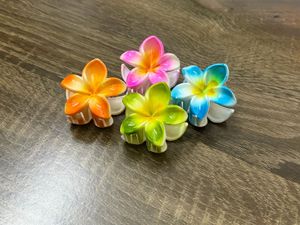Colorful Flower Claw Clips🌼✨|Set-4 Floralclip