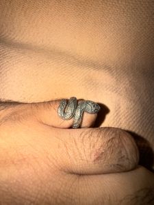 Snake Design Statement Ring