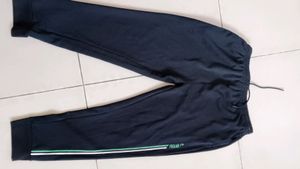 Proline Workout Pant Unused