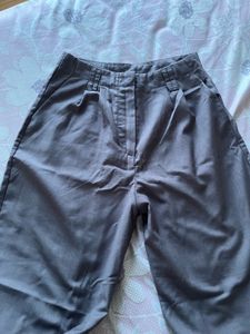 grey   formal pants