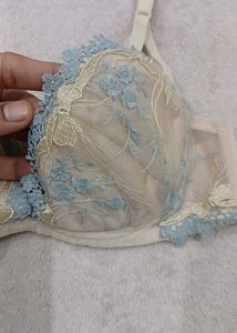 Elegant Lace Bra - Stunning Design