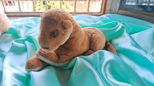 cute lion plushie | soft toys