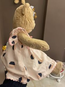 Cute Plush Bear in Dress