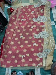 Elegant Red &amp; Gold white net Saree