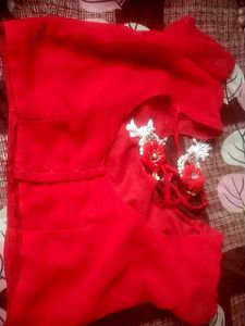 Stunning Red Embellished Saree