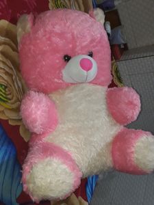 Huge Big Teddy