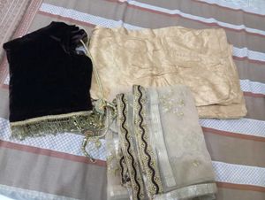 Eleganct lahanga choli