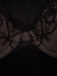 Sheer Embroidered Black Bra