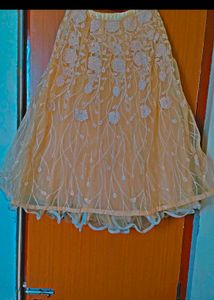 Beautiful Yellow Lehenga Choli
