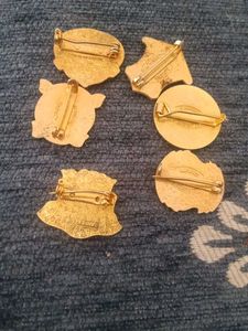bronze pin one piece (₹500)
