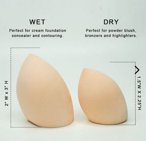Makeup Sponge
