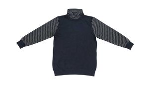 Striped Sleeve Turtleneck Sweater