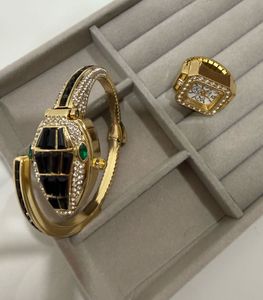 (New) Gold Snake Watch & Ring set
