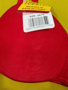 304 -- Vibrant soft padded Bra