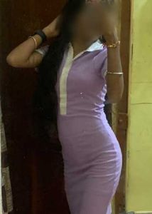 Stylish Lavender Polo Dress