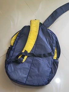 Skybags Backpack