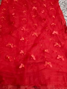 Beautiful Butterfly Net saree in Red ♥️🔥